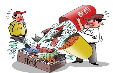 云开体育app官网