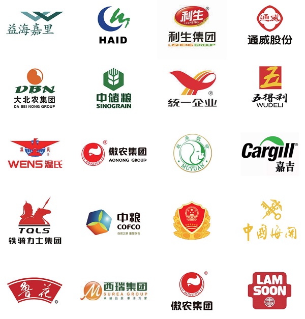 上海飞测合作伙伴