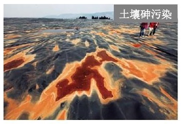 云开体育app官网