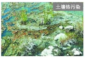 云开体育app官网