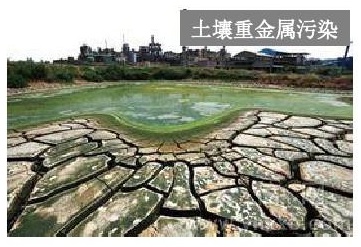 云开体育app官网