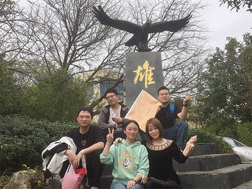 云开体育app官网