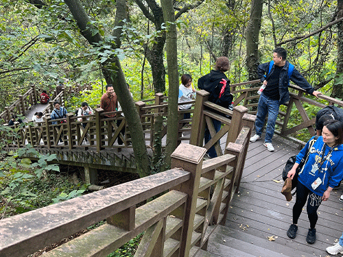 云开体育app官网