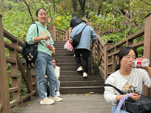 云开体育app官网