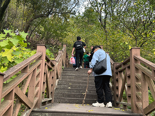 云开体育app官网