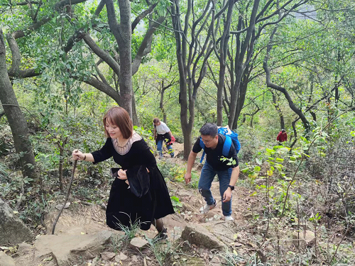 云开体育app官网