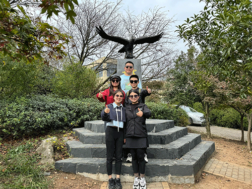 云开体育app官网