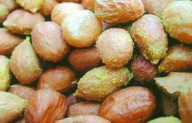 云开体育app官网