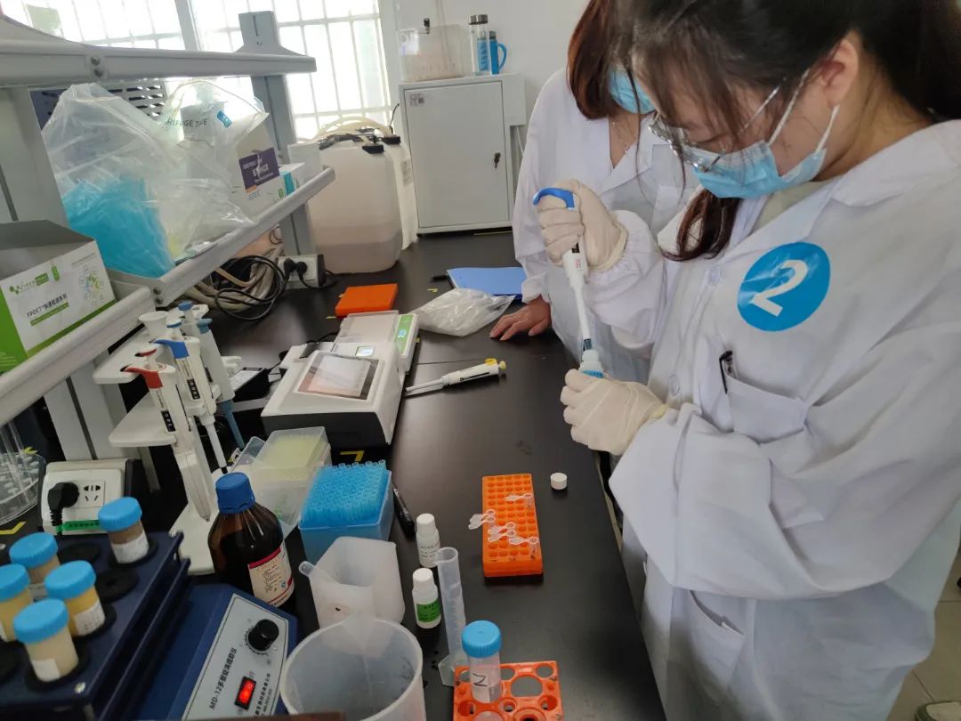 云开体育app官网