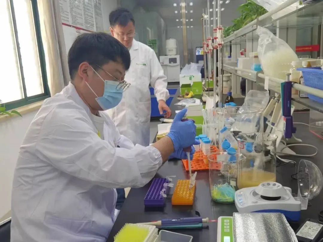 云开体育app官网