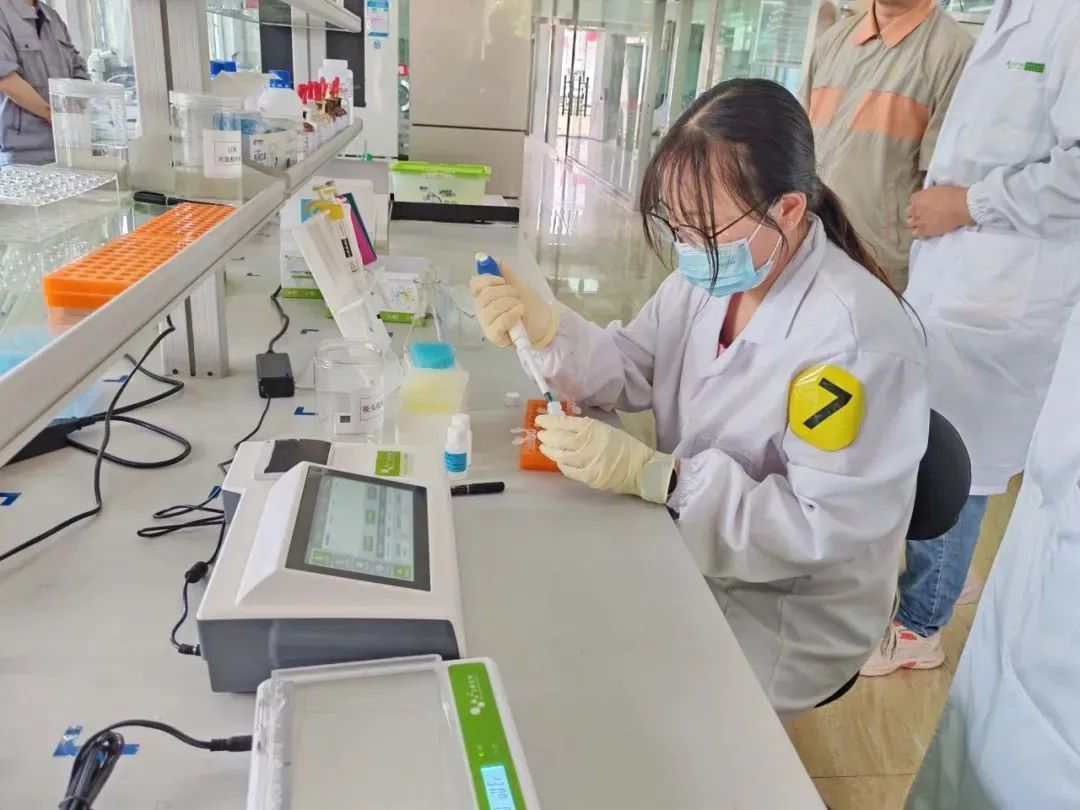 云开体育app官网