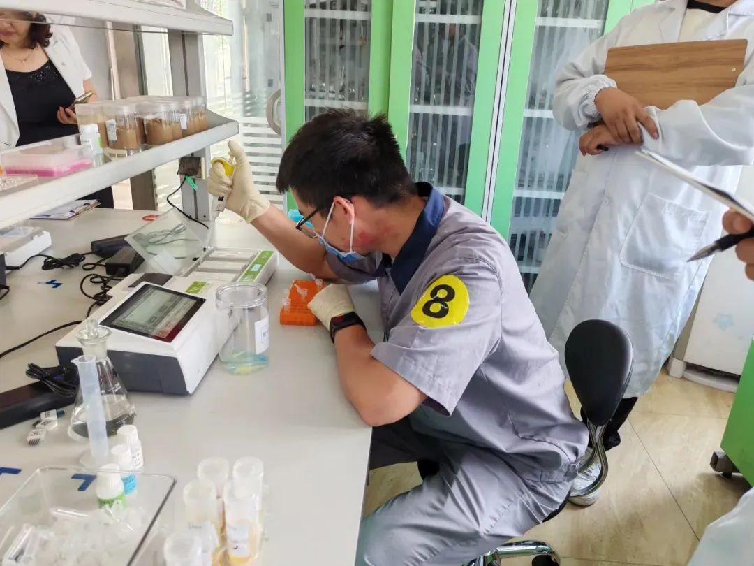 云开体育app官网