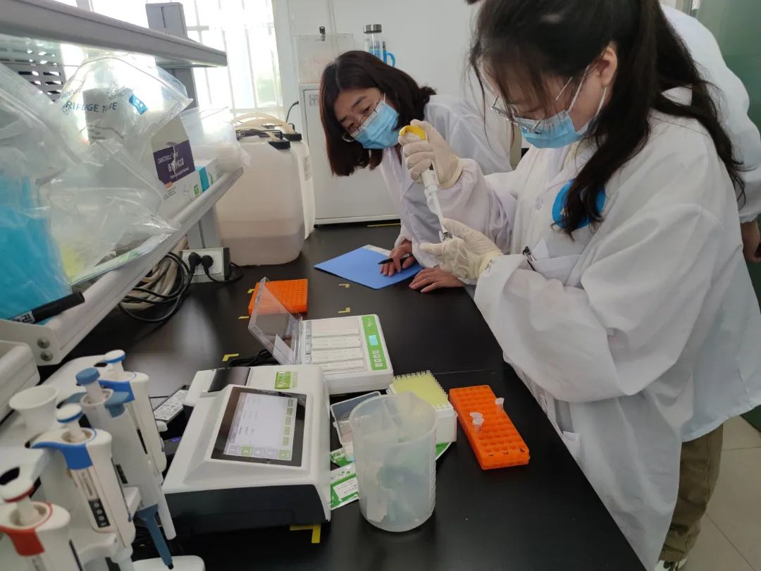 云开体育app官网