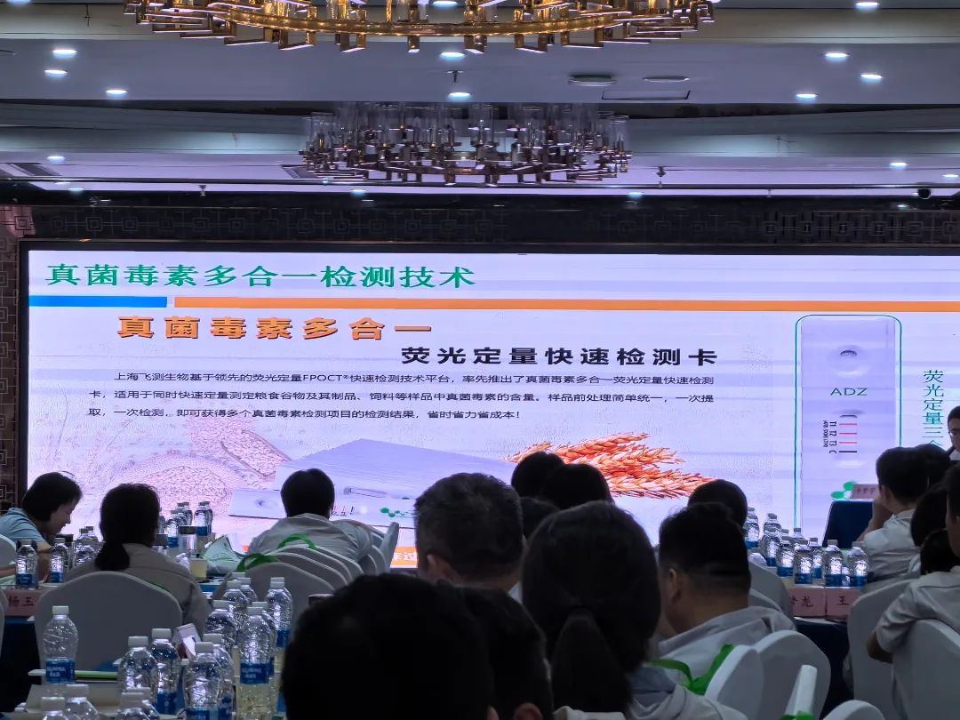 云开体育app官网