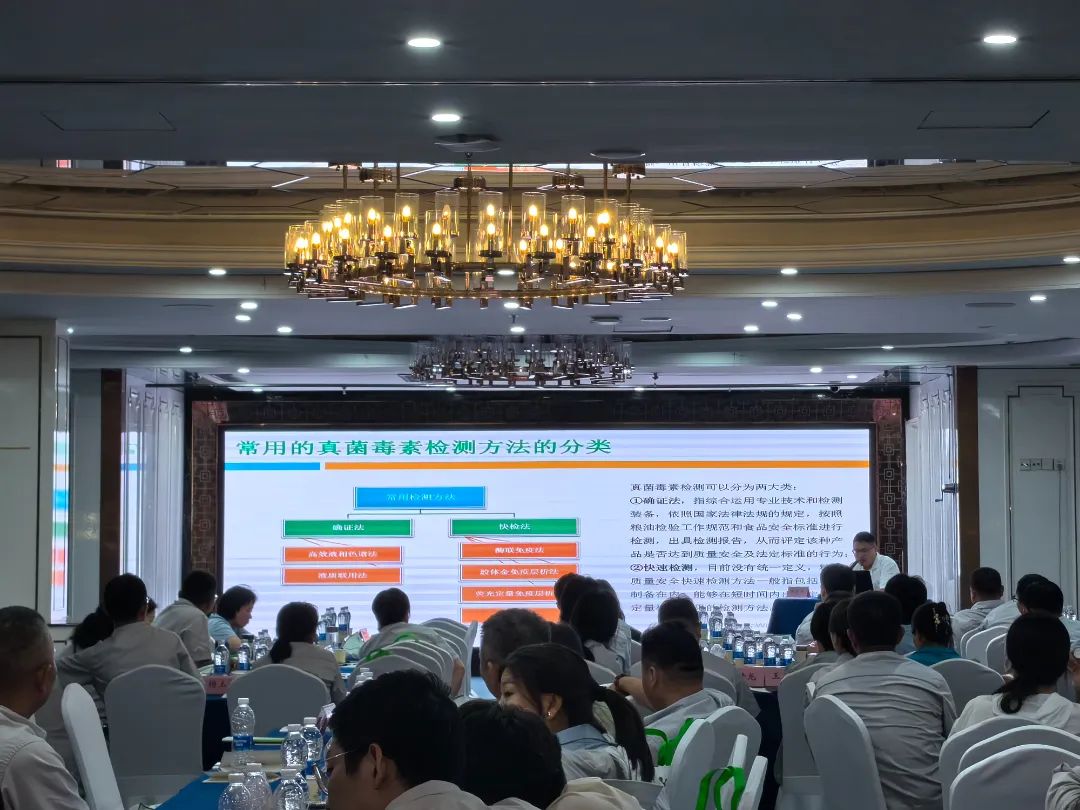 真菌毒素检测理论培训