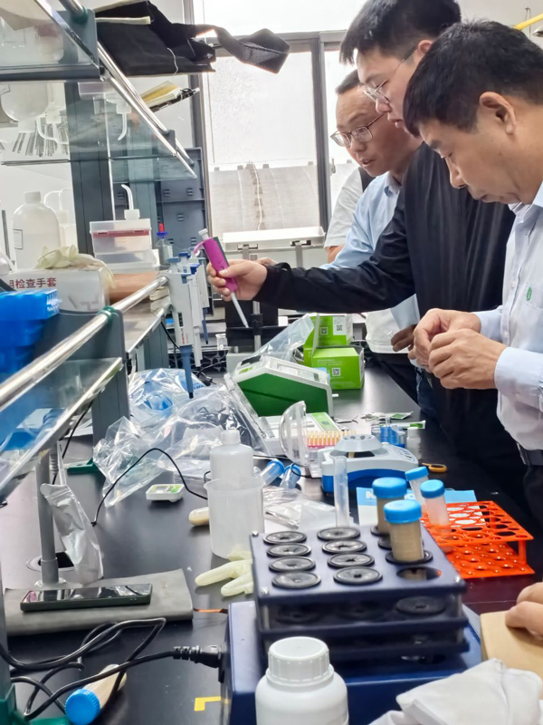 云开体育app官网