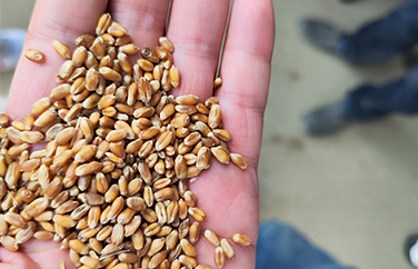 云开体育app官网