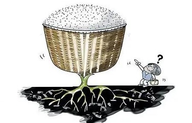 云开体育app官网