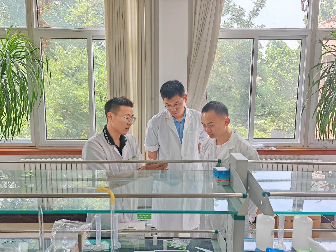 云开体育app官网