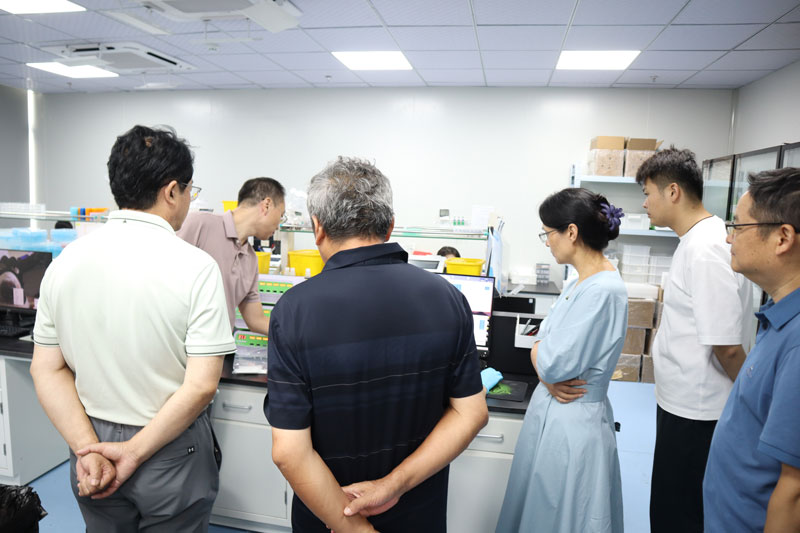 云开体育app官网