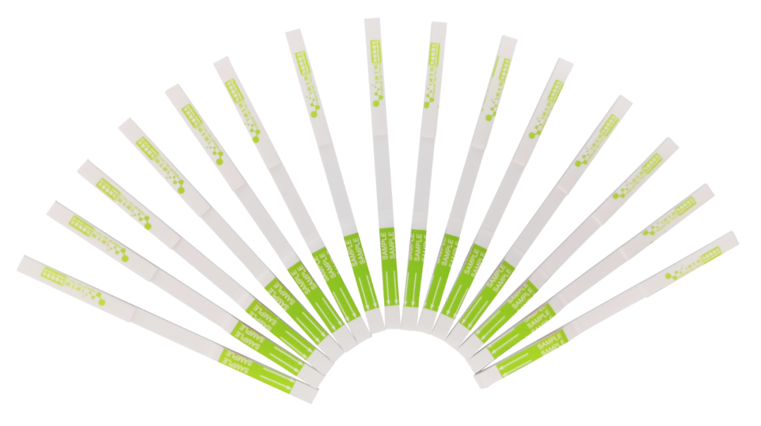 胶体金定性检测试纸条