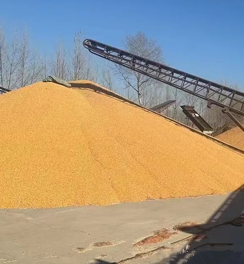 云开体育app官网