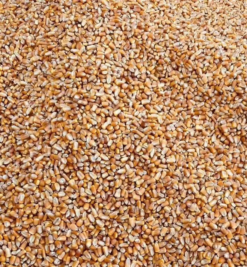 云开体育app官网