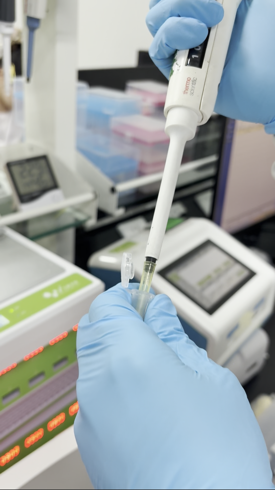 云开体育app官网